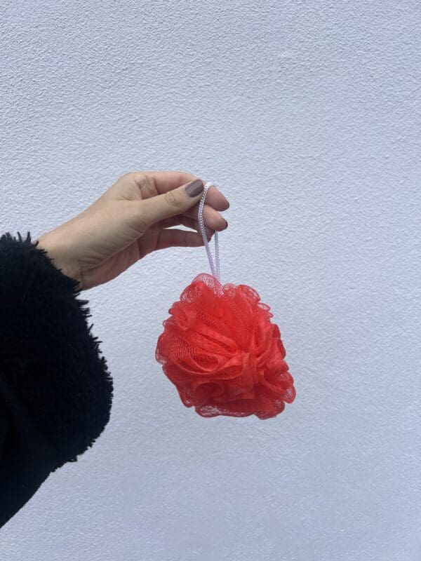 Fleur de douche | rouge 🚿